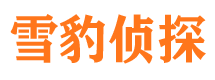 田东捉小三公司